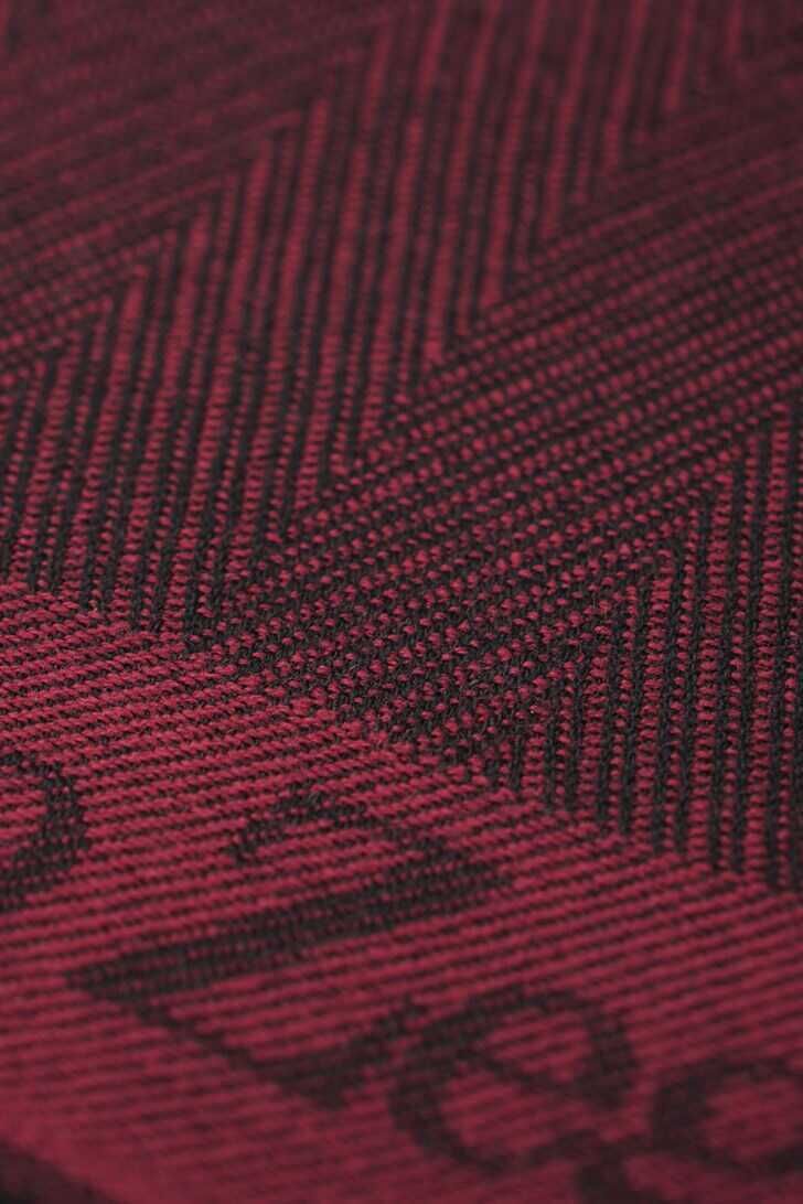 Ermenegildo Zegna Şal - 3