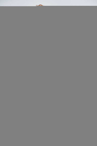 Jeckerson Erkek Bisiklet Yaka T-Shirt - 3