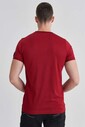 Paul&Shark Erkek Bisiklet Yaka T-Shirt - 8